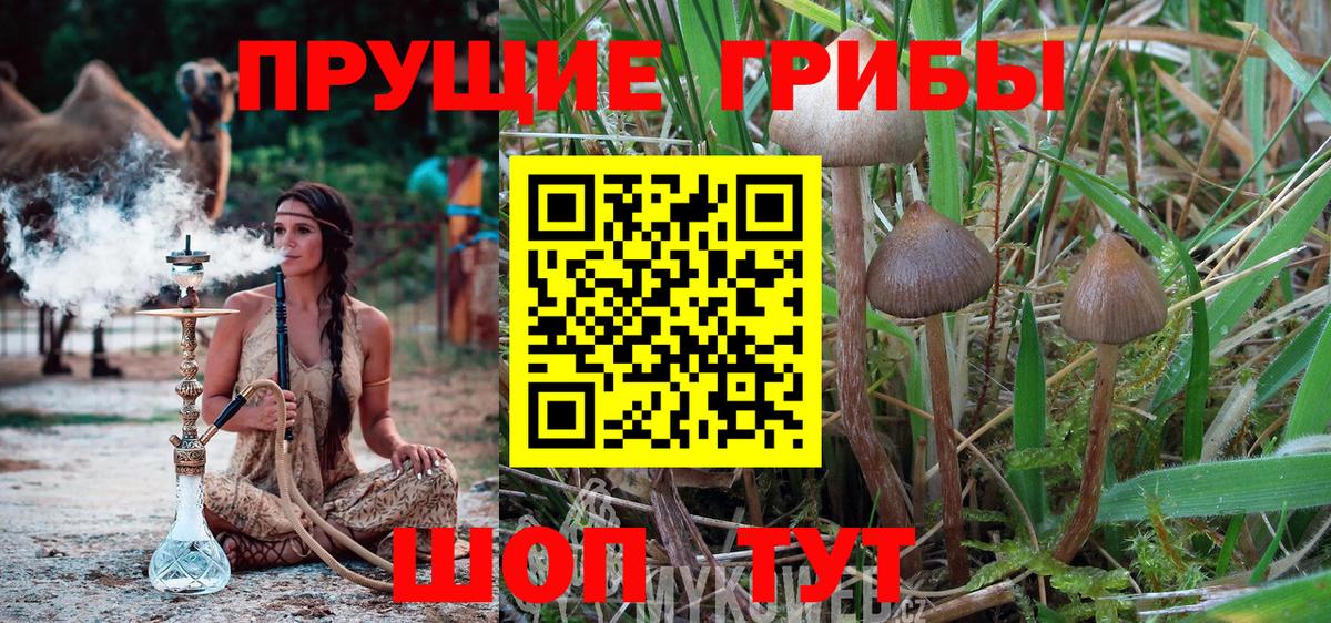 Галлюциногенные грибы MAGIC MUSHROOMS Ржев